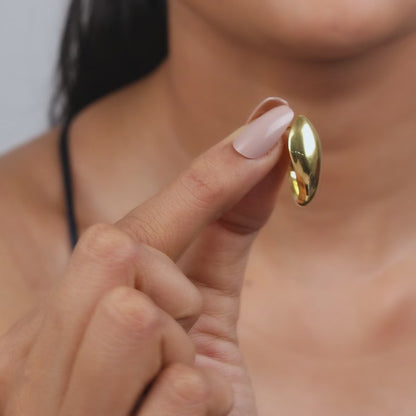 Golden Mod Dolphin Hoop Earrings