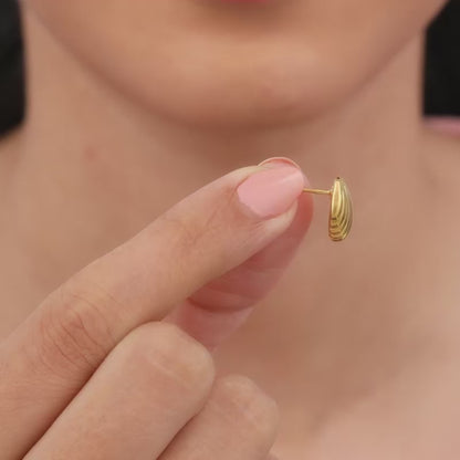 Golden Shellé Earrings