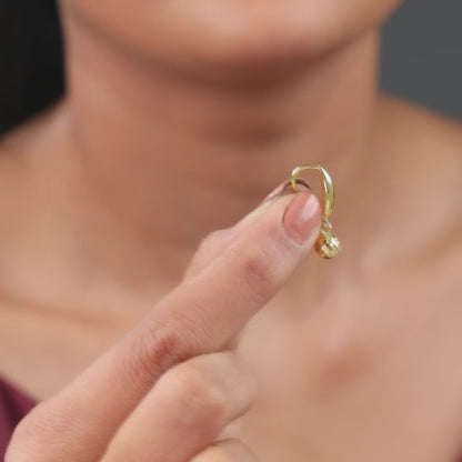 Golden Havana Earrings