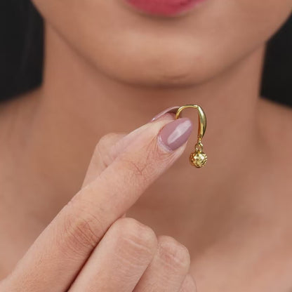 Golden Havana Set of 3