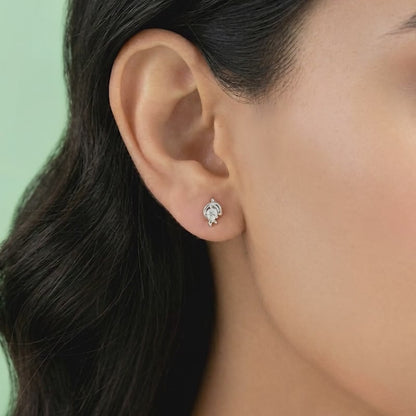 Silver Dolphin Stud Earrings