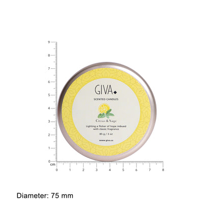 Citrus & Sage Candle + French Vanilla Candle