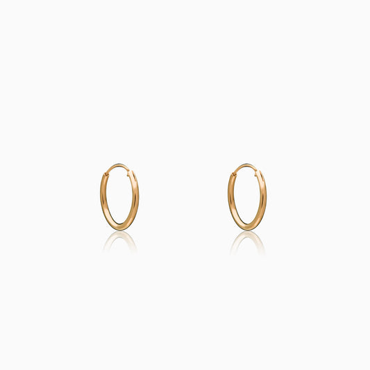 Golden Mini Hoop Earrings